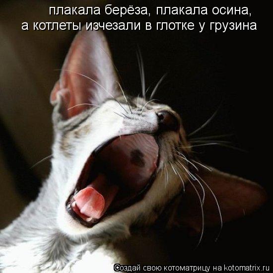 Котоматрица: плакала берёза, плакала осина, а котлеты изчезали в глотке у грузина