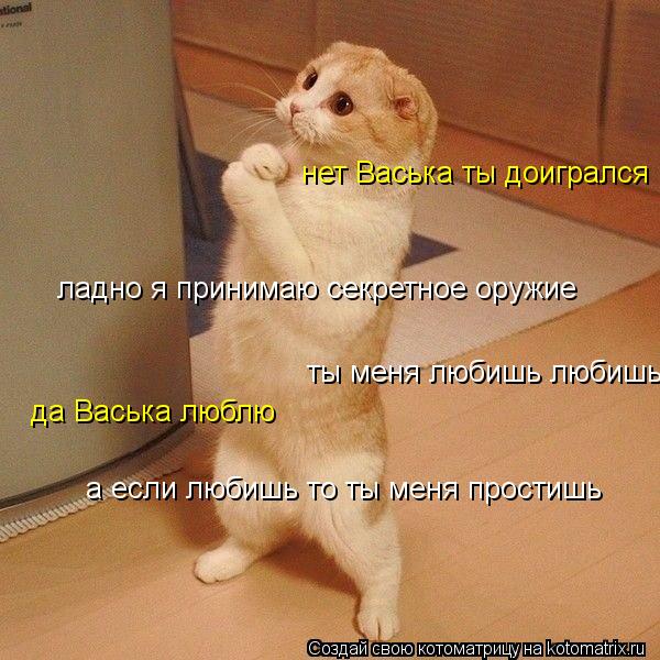 Котоматрица: нет Васька ты доигрался ладно я принимаю секретное оружие  ты меня любишь любишь  да Васька люблю а если любишь то ты меня простишь