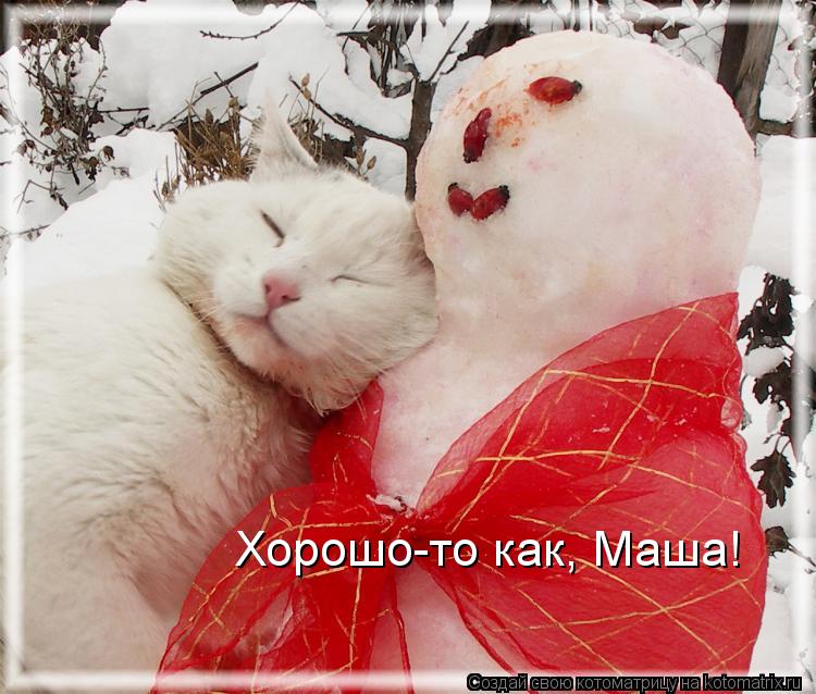 Котоматрица: Хорошо-то как, Маша!