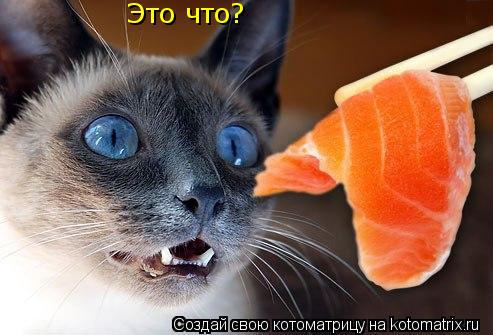 Котоматрица: Это что?