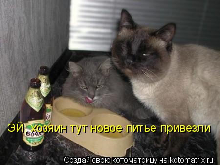 Котоматрица: ЭЙ, хозяин тут новое питье привезли