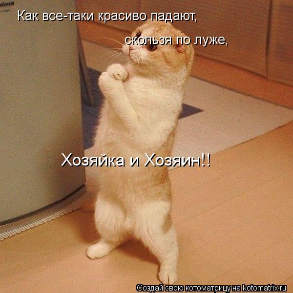 Котоматрица: Как все-таки красиво падают, скользя по луже, Хозяйка и Хозяин!!