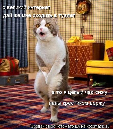 Котоматрица: о великий интернет  дай же мне сходить в туалет а то я целый час сижу лапы крестиком держу