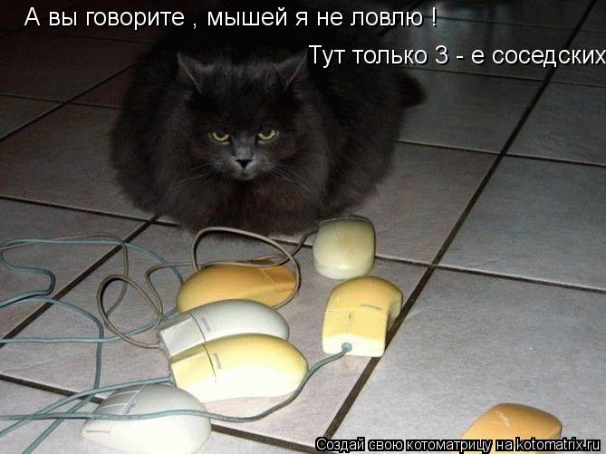 Котоматрица: А вы говорите , мышей я не ловлю !   Тут только 3 - е соседских .