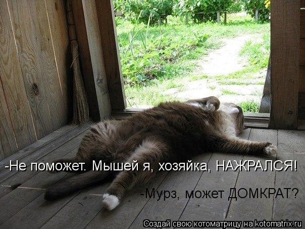 Котоматрица: -Мурз, может ДОМКРАТ? -Не поможет. Мышей я, хозяйка, НАЖРАЛСЯ!