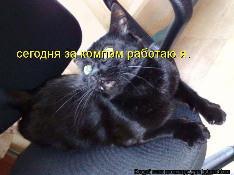 Котоматрица: сегодня за компом работаю я.