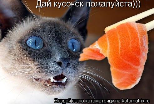 Котоматрица: Дай кусочек пожалуйста)))