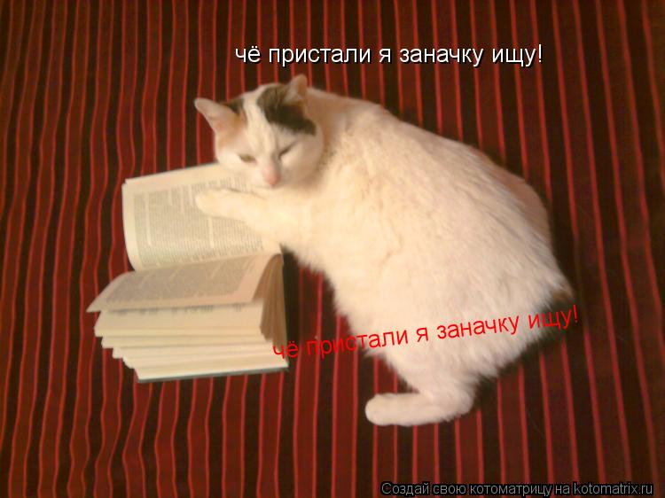 Котоматрица: чё пристали я заначку ищу! чё пристали я заначку ищу!