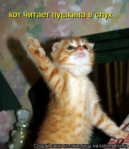Котоматрица: кот читает пушкина в слух