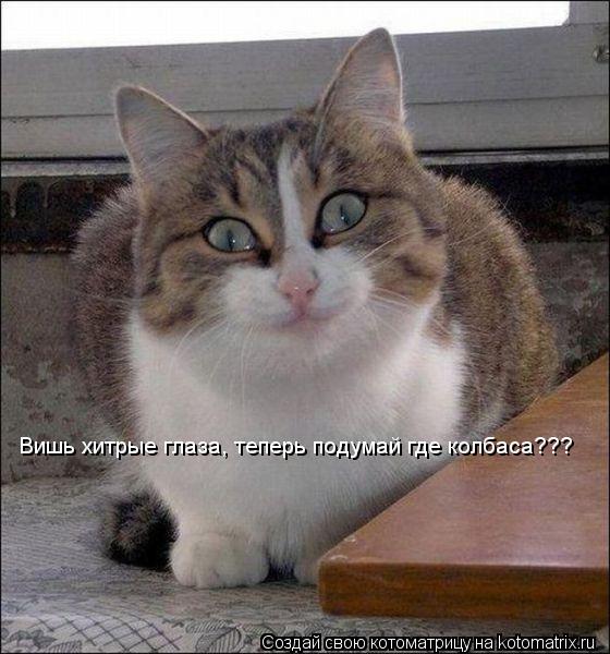 Котоматрица: Вишь хитрые глаза, теперь подумай где колбаса???