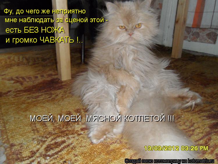 МОЕЙ, МОЕЙ МЯСНОЙ КОТЛЕТОЙ !!! мне наблюдать за сценой этой - есть БЕЗ НОЖА Фу, до чего же неприятно... Котоматрица: МОЕЙ, МОЕЙ МЯСНОЙ КОТЛЕТОЙ !!! мне наблюдать за сценой этой - есть БЕЗ НОЖА Фу, до чего же неприятно и громко ЧАВКАТЬ !..