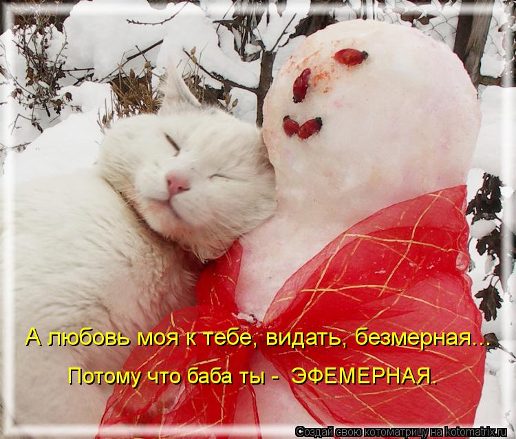 Котоматрица: А любовь моя к тебе, видать, безмерная... Потому что баба ты -  ЭФЕМЕРНАЯ.