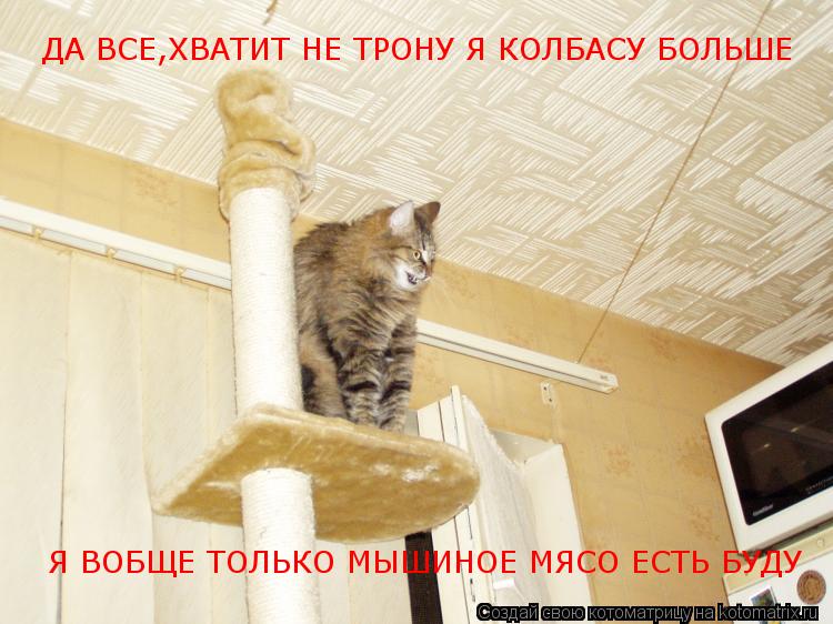 Котоматрица: ДА ВСЕ,ХВАТИТ НЕ ТРОНУ Я КОЛБАСУ БОЛЬШЕ Я ВОБЩЕ ТОЛЬКО МЫШИНОЕ МЯСО ЕСТЬ БУДУ