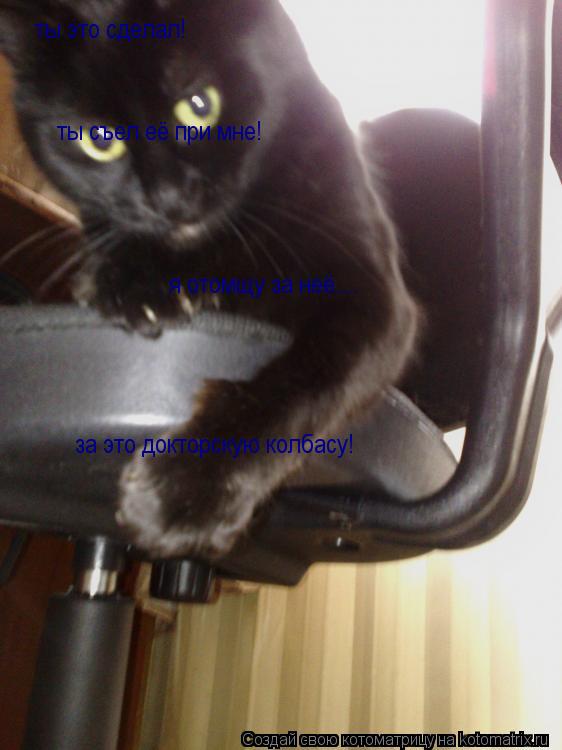 Котоматрица: ты это сделал! ты съел её при мне! я отомщу за неё.... за это докторскую колбасу!