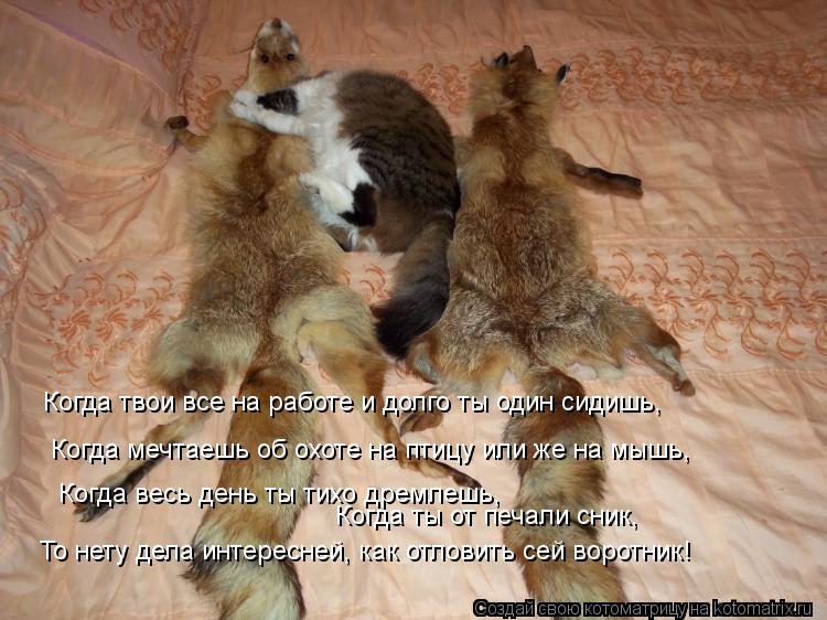 Когда твои все на работе и долго ты один сидишь, Когда мечтаешь об охоте на птицу или же на мышь, Ког... Котоматрица: Когда твои все на работе и долго ты один сидишь, Когда мечтаешь об охоте на птицу или же на мышь, Когда весь день ты тихо дремлешь, Когда ты о