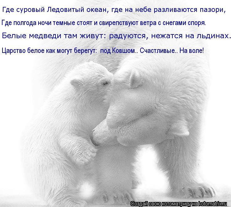 Котоматрица: Где суровый Ледовитый океан, где на небе разливаются пазори, Где полгода ночи темные стоят и свирепствуют ветра с снегами споря. Белые медв