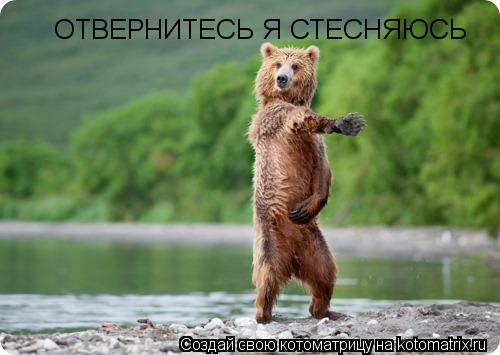 Котоматрица: ОТВЕРНИТЕСЬ Я СТЕСНЯЮСЬ
