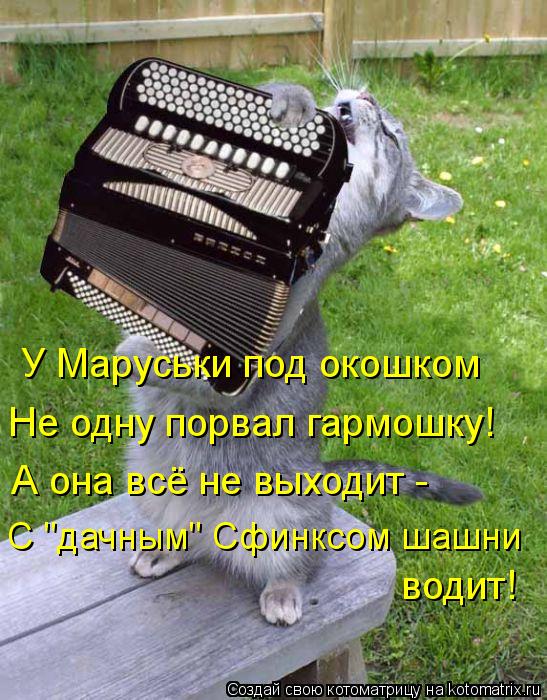 У Маруськи под окошком Не одну порвал гармошку! А она всё не выходит - С "дачным" Сфинксом шашни вод... Котоматрица: У Маруськи под окошком Не одну порвал гармошку! А она всё не выходит - С "дачным" Сфинксом шашни водит!