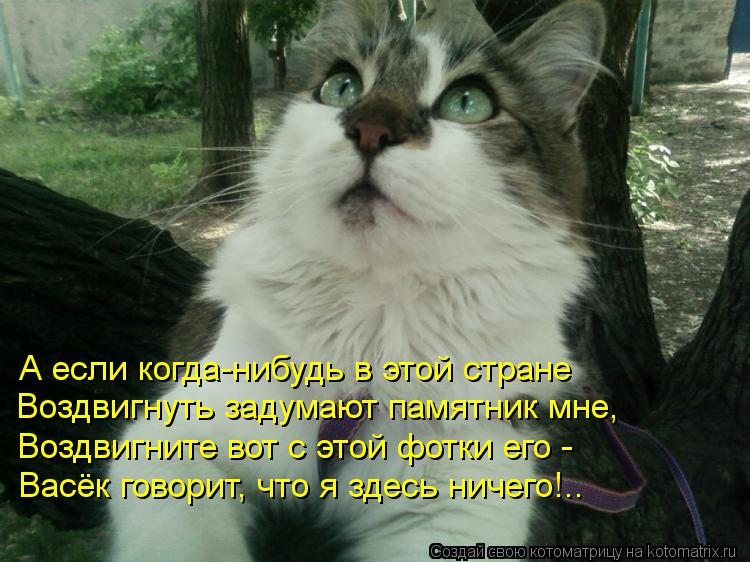 Котоматрица: А если когда-нибудь в этой стране Воздвигнуть задумают памятник мне, Воздвигните вот с этой фотки его -  Васёк говорит, что я здесь ничего!..