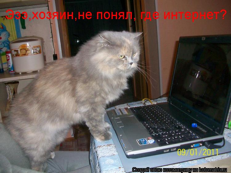 Эээ,хозяин,не понял, где интернет?... Котоматрица: Эээ,хозяин,не понял, где интернет?