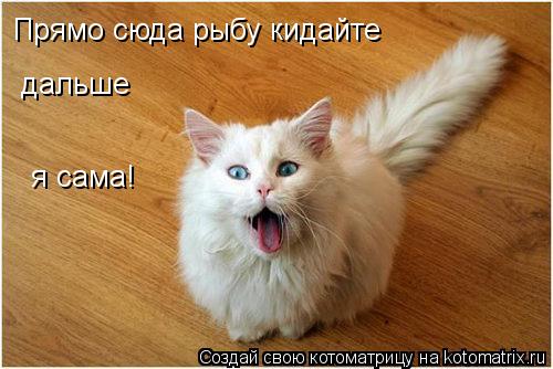 Прямо сюда рыбу кидайте дальше я сама!... Котоматрица: Прямо сюда рыбу кидайте дальше я сама!