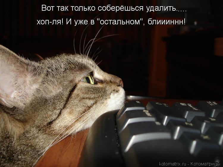 Котоматрица: Вот так только соберёшься удалить. хоп-ля! И уже в "остальном", блиииннн! ....