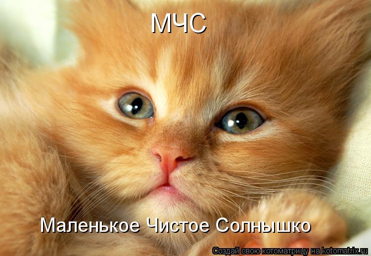 Котоматрица: МЧС Маленькое Чистое Солнышко