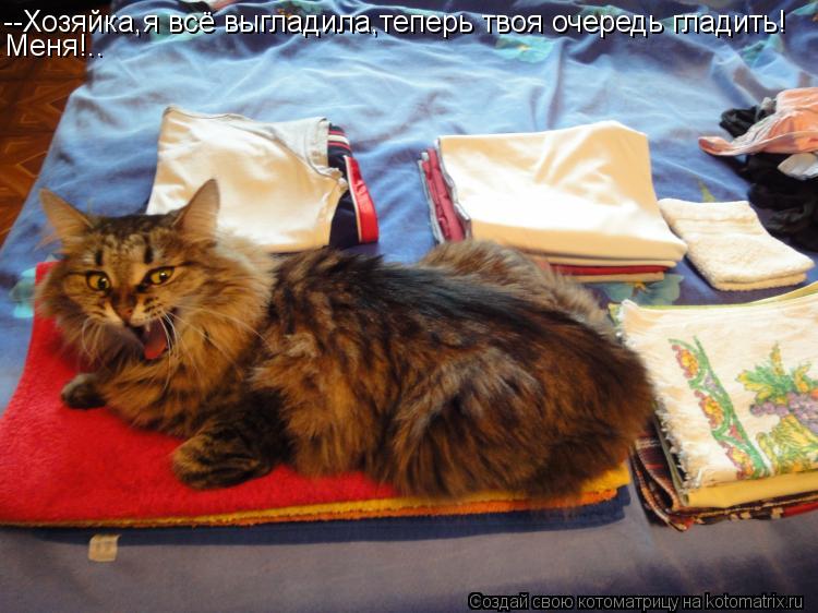 --Хозяйка,я всё выгладила,теперь твоя очередь гладить! Меня!..... Котоматрица: --Хозяйка,я всё выгладила,теперь твоя очередь гладить! Меня!..