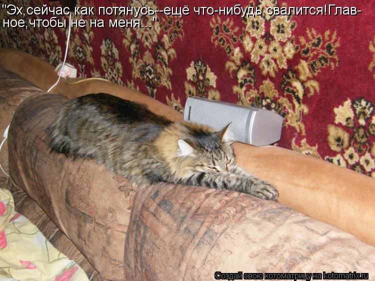 "Эх,сейчас как потянусь--ещё что-нибудь свалится!Глав- ное,чтобы не на меня..."... Котоматрица: "Эх,сейчас как потянусь--ещё что-нибудь свалится!Глав- ное,чтобы не на меня..."