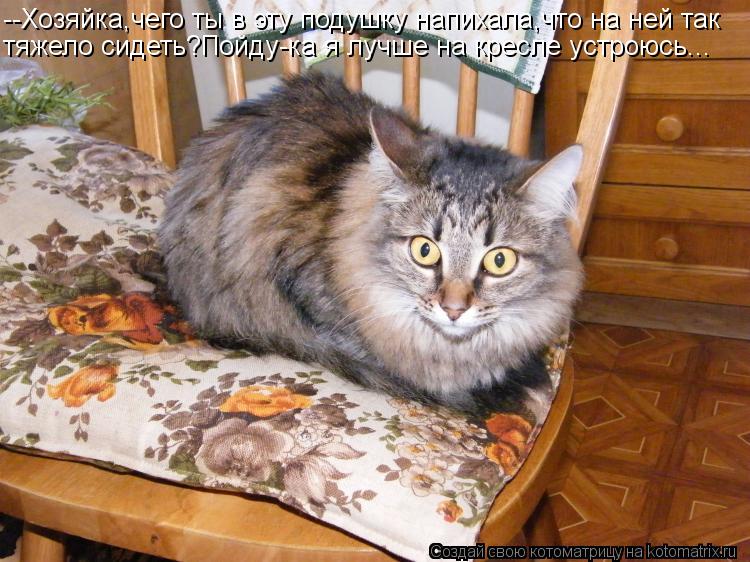 --Хозяйка,чего ты в эту подушку напихала,что на ней так тяжело сидеть?Пойду-ка я лучше на кресле устр... Котоматрица: --Хозяйка,чего ты в эту подушку напихала,что на ней так тяжело сидеть?Пойду-ка я лучше на кресле устроюсь...