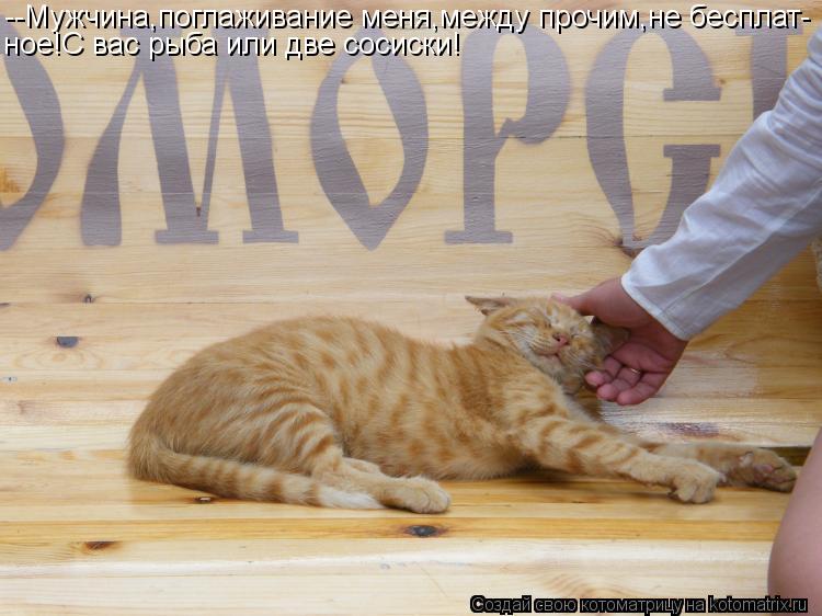 --Мужчина,поглаживание меня,между прочим,не бесплат- ное!С вас рыба или две сосиски!... Котоматрица: --Мужчина,поглаживание меня,между прочим,не бесплат- ное!С вас рыба или две сосиски!