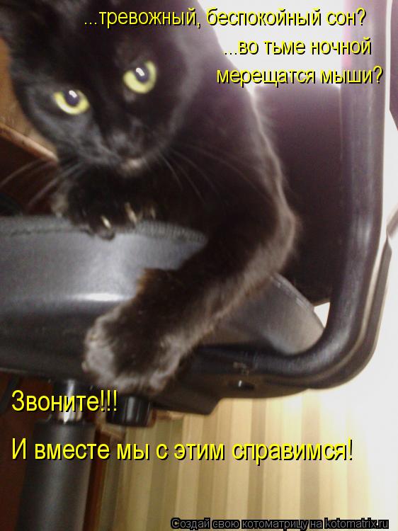 Котоматрица: ...тревожный, беспокойный сон? ...во тьме ночной мерещатся мыши? Звоните!!!  И вместе мы с этим справимся!