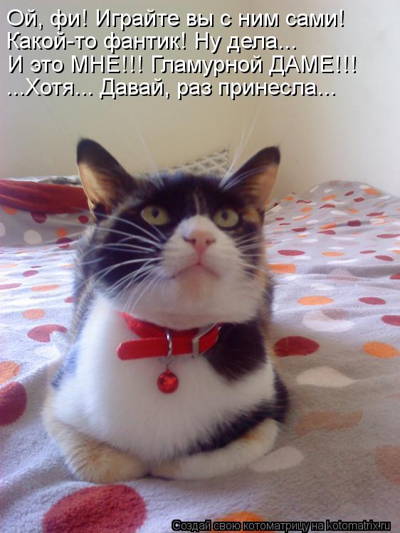 Ой, фи! Играйте вы с ним сами! Какой-то фантик! Ну дела... И это МНЕ!!! Гламурной ДАМЕ!!! ...Хотя... ... Котоматрица: Ой, фи! Играйте вы с ним сами! Какой-то фантик! Ну дела... И это МНЕ!!! Гламурной ДАМЕ!!! ...Хотя... Давай, раз принесла...