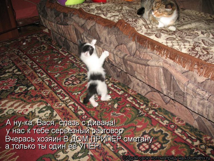 Котоматрица: у нас к тебе серьезный разговор Вчерась хозяин В ДОМ ПРИПЕР сметану а только ты один её УПЕР! А ну-ка, Вася, слазь с дивана!