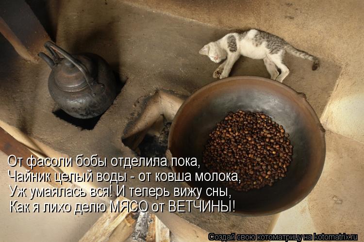 От фасоли бобы отделила пока, Чайник целый воды - от ковша молока, Уж умаялась вся! И теперь вижу сны... Котоматрица: От фасоли бобы отделила пока, Чайник целый воды - от ковша молока, Уж умаялась вся! И теперь вижу сны, Как я лихо делю МЯСО от ВЕТЧИНЫ!