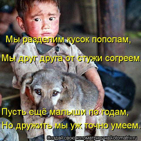 Котоматрица: Мы разделим кусок пополам, Пусть ещё малыши по годам, Но дружить мы уж точно умеем. Мы друг друга от стужи согреем.