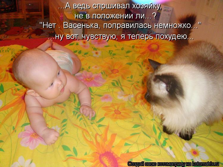 Котоматрица: ...А ведь спршивал хозяйку,  не в положении ли...? "Нет . Васенька, поправилась немножко..." ...ну вот, чувствую, я теперь похудею...