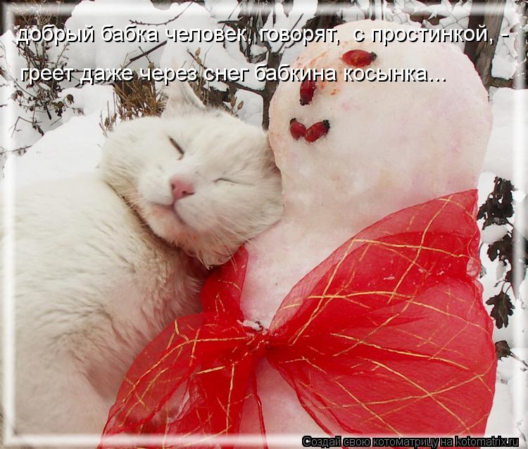 Котоматрица: добрый бабка человек, говорят,  с простинкой, - греет даже через снег бабкина косынка...