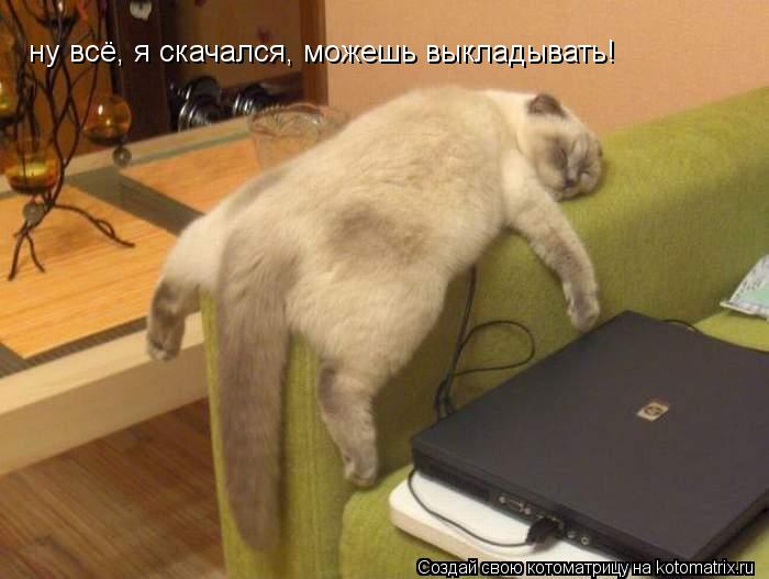 Котоматрица: ну всё, я скачался, можешь выкладывать!