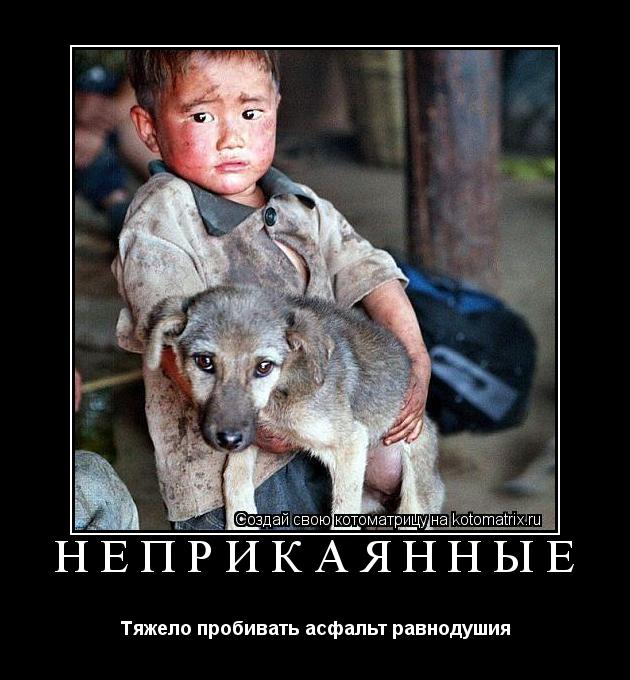 Котоматрица: Неприкаянные Тяжело пробивать асфальт равнодушия