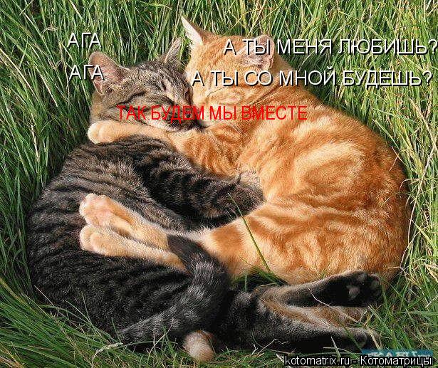 А ТЫ МЕНЯ ЛЮБИШЬ? АГА А ТЫ СО МНОЙ БУДЕШЬ? АГА ТАК БУДЕМ МЫ ВМЕСТЕ... Котоматрица: А ТЫ МЕНЯ ЛЮБИШЬ? АГА А ТЫ СО МНОЙ БУДЕШЬ? АГА ТАК БУДЕМ МЫ ВМЕСТЕ