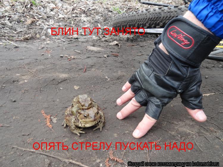БЛИН ТУТ ЗАНЯТО ОПЯТЬ СТРЕЛУ ПУСКАТЬ НАДО... Котоматрица: БЛИН ТУТ ЗАНЯТО ОПЯТЬ СТРЕЛУ ПУСКАТЬ НАДО
