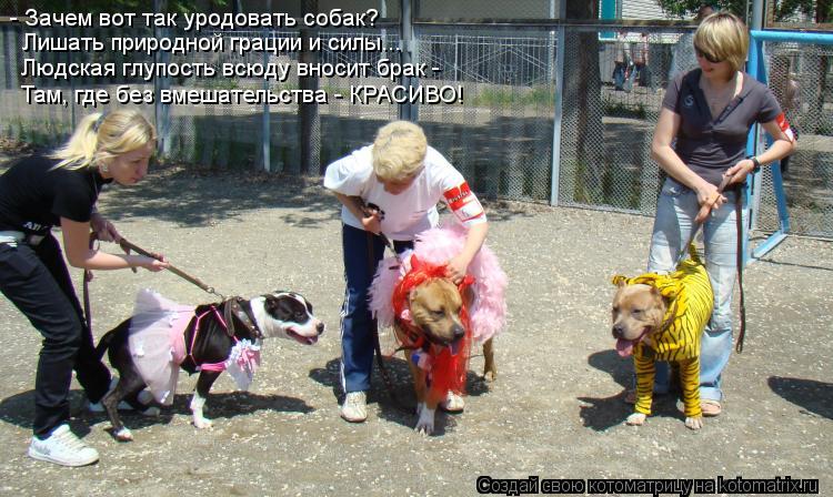 - Зачем вот так уродовать собак? Лишать природной грации и силы... Людская глупость всюду вносит брак... Котоматрица: - Зачем вот так уродовать собак? Лишать природной грации и силы... Людская глупость всюду вносит брак - Там, где без вмешательства - КРАСИВО!