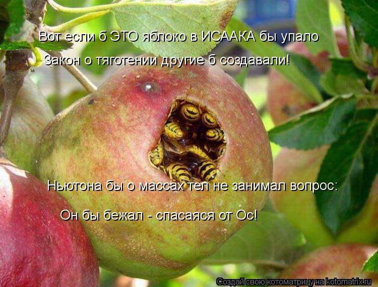 Вот если б ЭТО яблоко в ИСААКА бы упало Закон о тяготении другие б создавали! Он бы бежал - спасаяся ... Котоматрица: Вот если б ЭТО яблоко в ИСААКА бы упало Закон о тяготении другие б создавали! Он бы бежал - спасаяся от Ос! Ньютона бы о массах тел не занимал