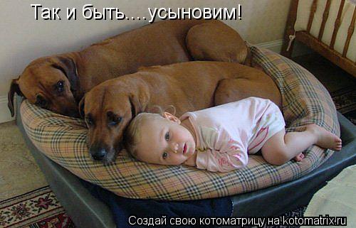 Котоматрица: Так и быть....усыновим!
