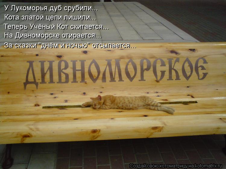 Просто смех - Смешные поздравления с днем рождения часть Прикольные статусы про день рождения для