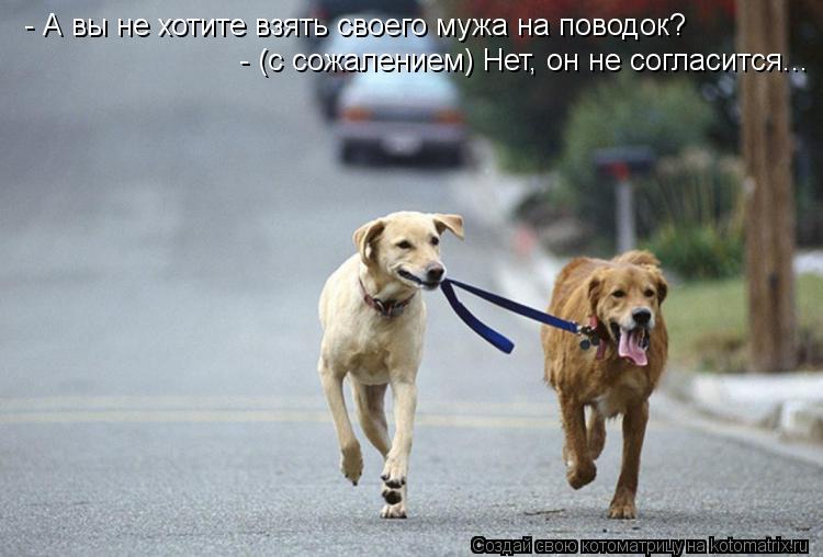 - А вы не хотите взять своего мужа на поводок? - (с сожалением) Нет, он не согласится...... Котоматрица: - А вы не хотите взять своего мужа на поводок? - (с сожалением) Нет, он не согласится...