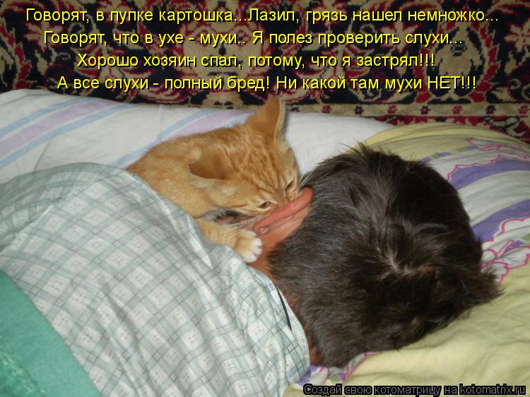 Котоматрица: Говорят, в пупке картошка...Лазил, грязь нашел немножко... Говорят, что в ухе - мухи.. Я полез проверить слухи... Хорошо хозяин спал, потому, что я