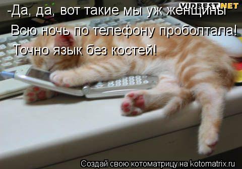 Котоматрица: -Да, да, вот такие мы уж женщины Всю ночь по телефону проболтала! Точно язык без костей!