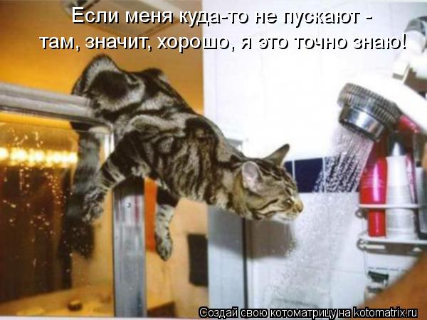Если меня куда-то не пускают - там, значит, хорошо, я это точно знаю!... Котоматрица: Если меня куда-то не пускают - там, значит, хорошо, я это точно знаю!